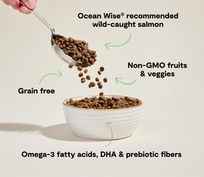 Open Farms - Wild Salmon Grain Free Cat Food