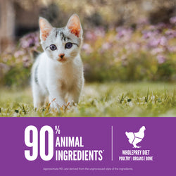 Champion Petfoods Orijen - Kitten Dry Cat Food