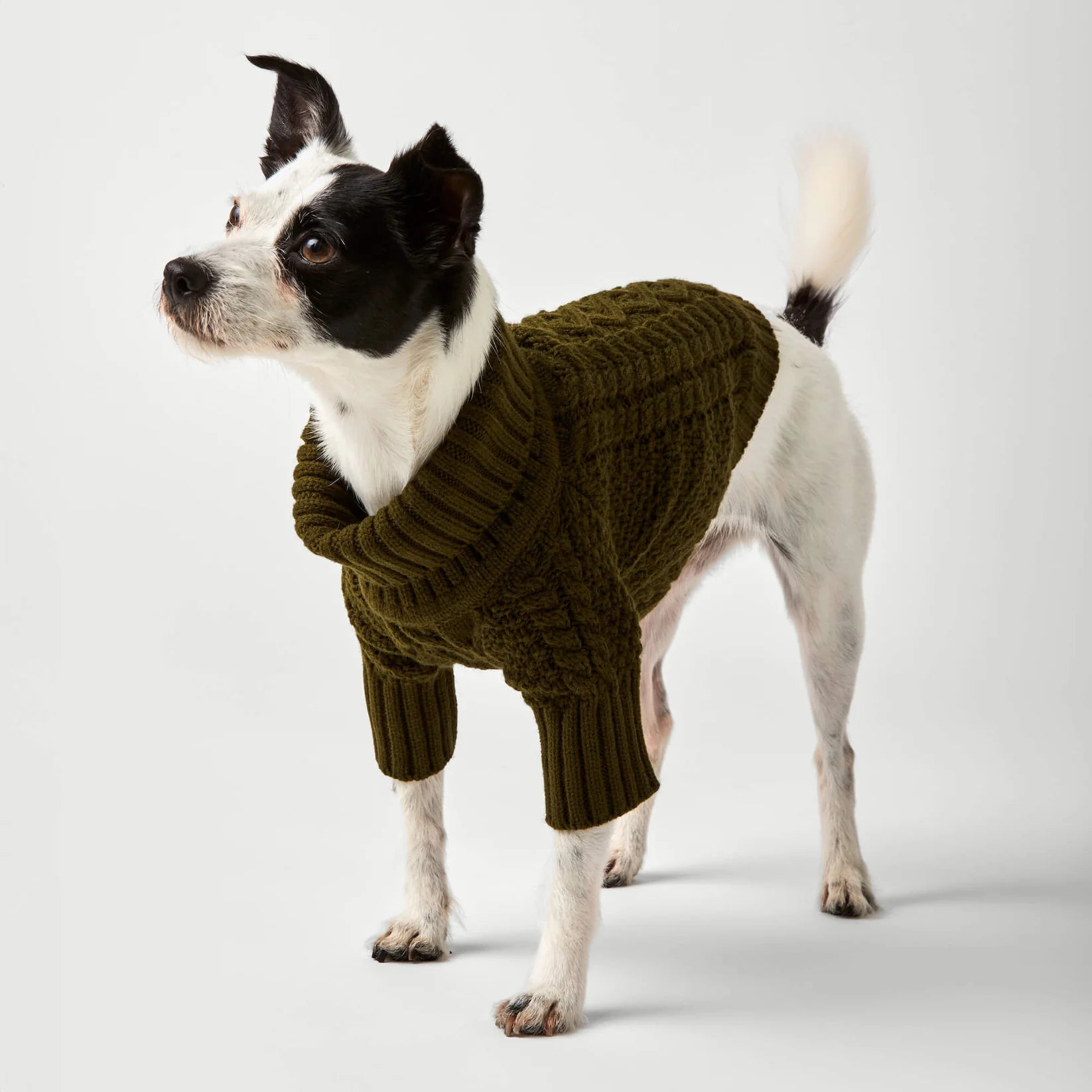 Dog Sweater Cable Knit Olive