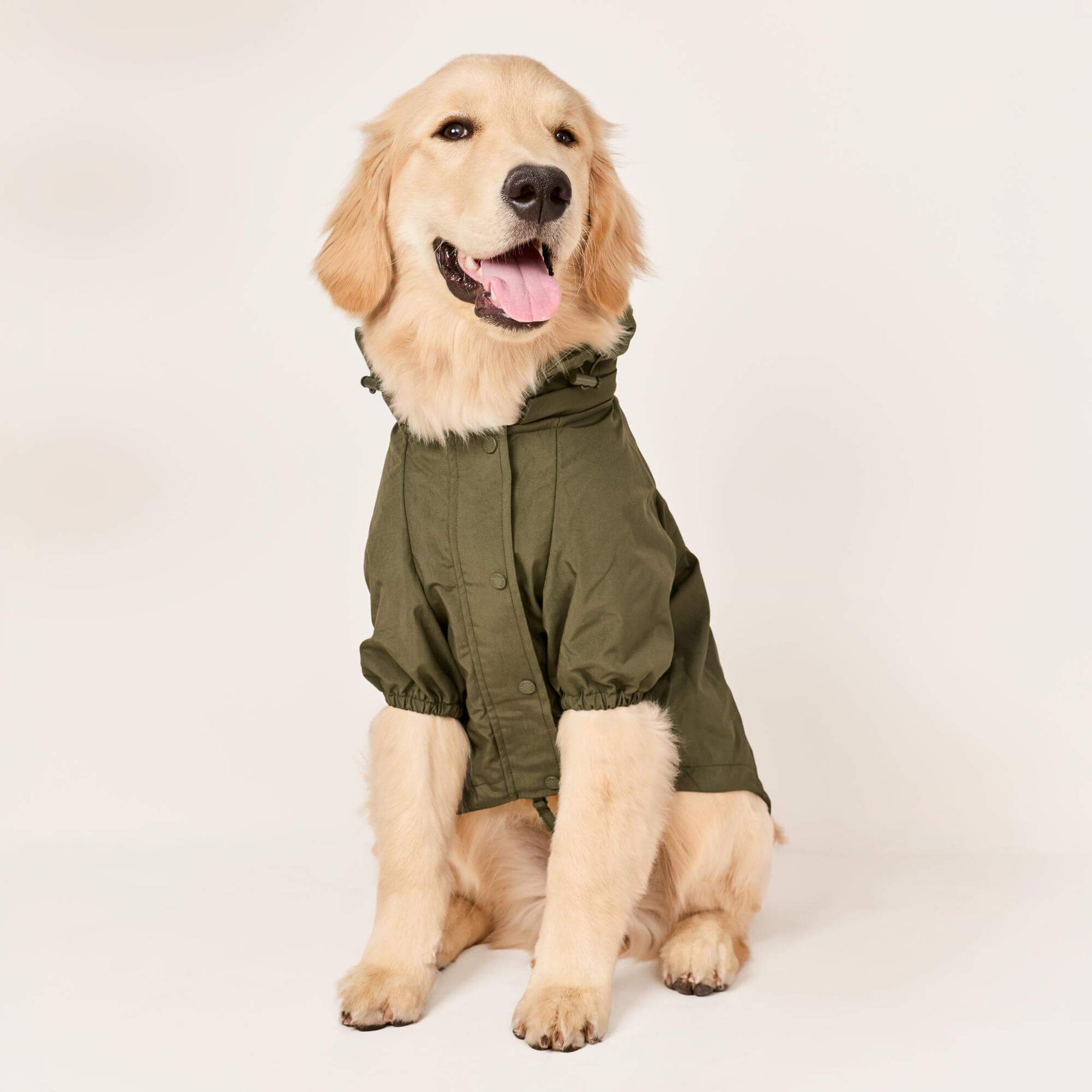 The Foggy Dog - Dog Raincoat Olive