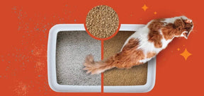 Worlds Best Low Tracking/Dust Control Multiple Cat Unscented