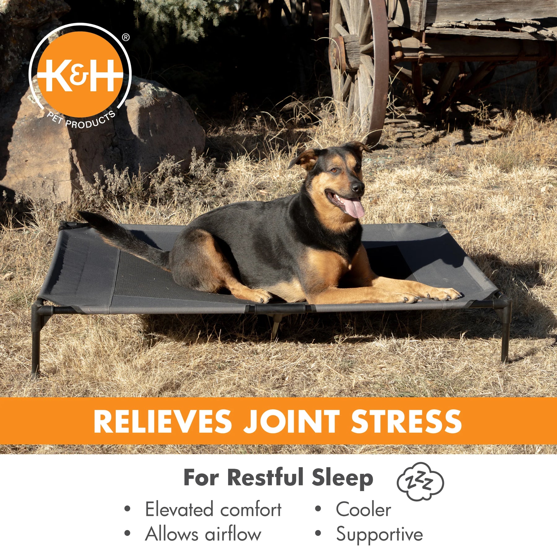 Central Pet Home Essentials - Elevated Pet Bed