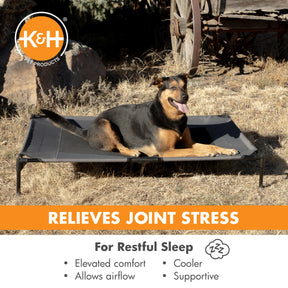 Central Pet Home Essentials - Elevated Pet Bed