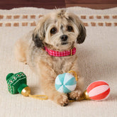 The Foggy Dog - Dog Toy Set Christmas Ornaments