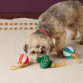 The Foggy Dog - Dog Toy Set Christmas Ornaments