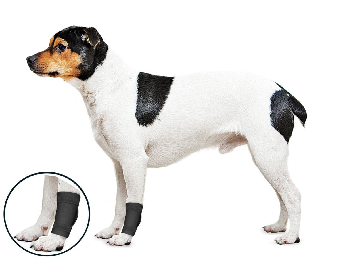 ZenPet OrthoWrap Elbow Protector