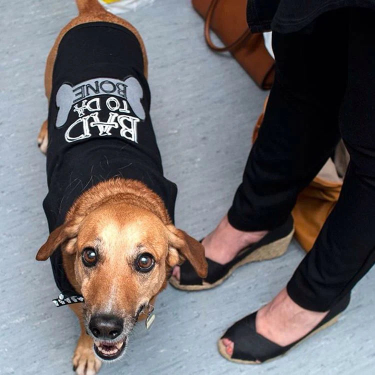 Parisian Pet - Dog T-Shirt "Bad To Da Bone"