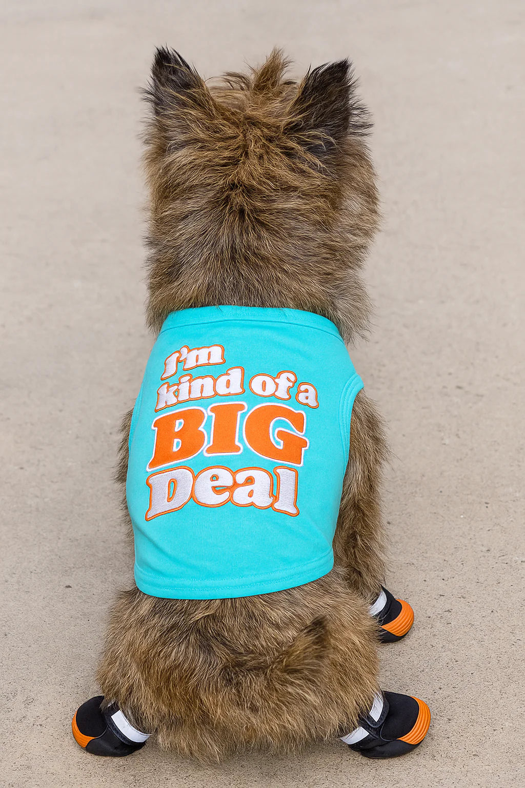 Parisian Pet - Dog T-Shirt I'm Kind of a Big Deal