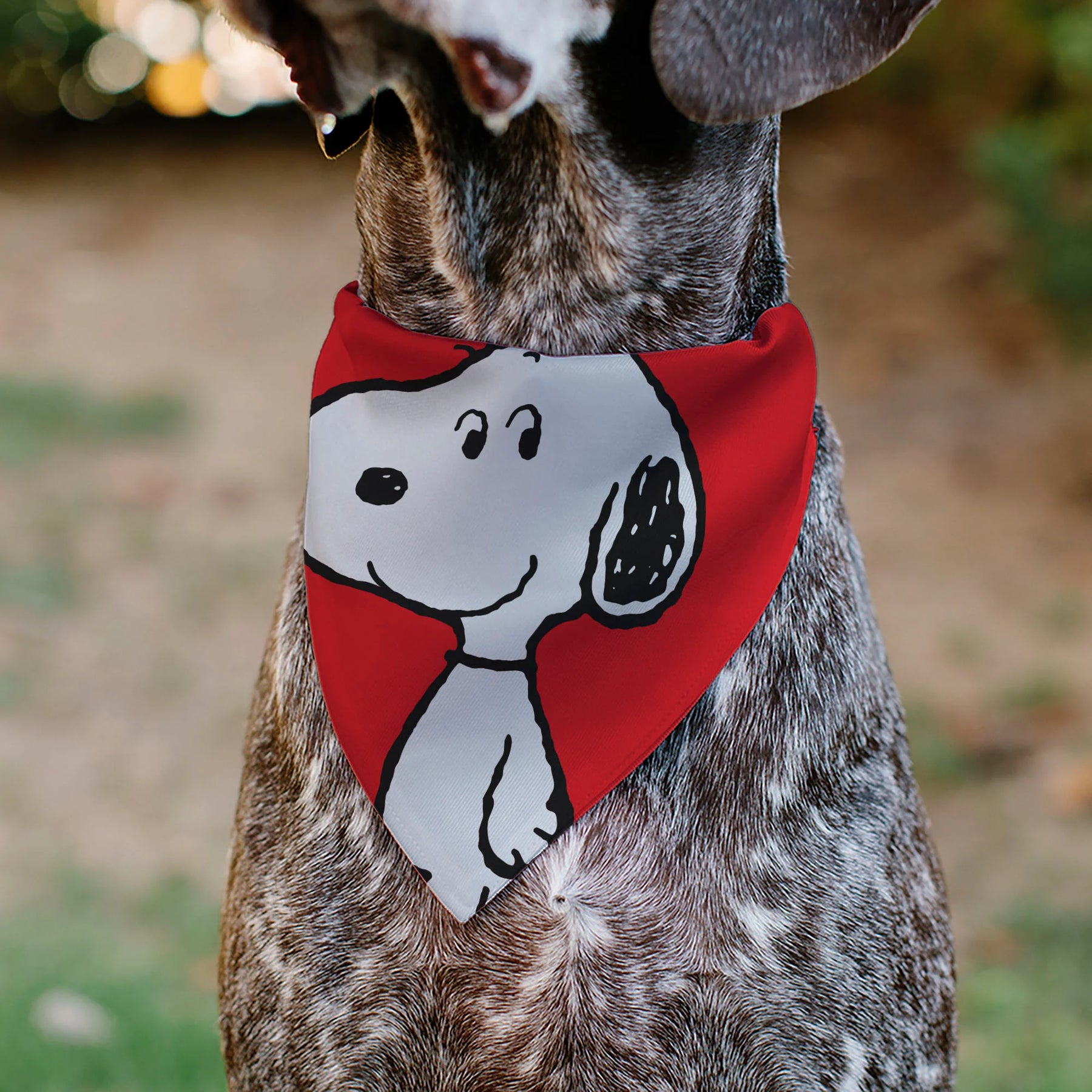 Buckle Down - Pet Bandana Peanuts Snoopy Smiling