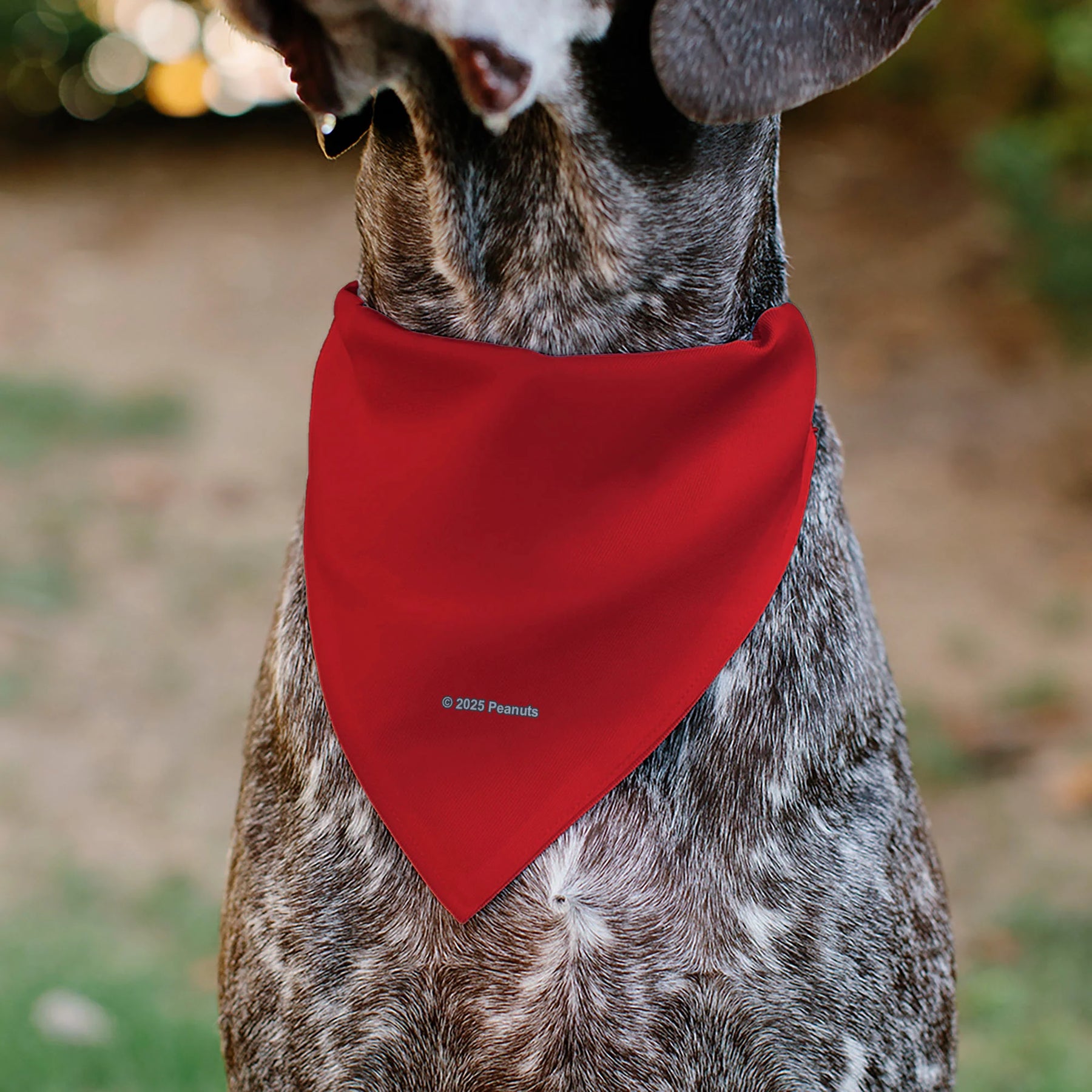 Buckle Down - Pet Bandana Peanuts Snoopy Smiling