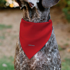 Buckle Down - Pet Bandana Peanuts Snoopy Smiling