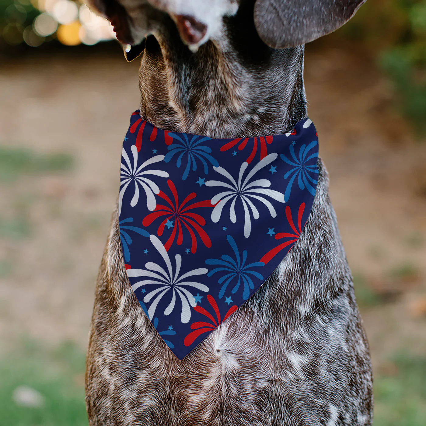 Buckle Down - Pet Bandana Americana Fireworks Show