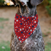 Buckle Down - Pet Bandana Americana Stars Scattered