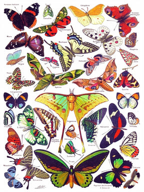 New York Puzzle Co. - Butterflies Papillions