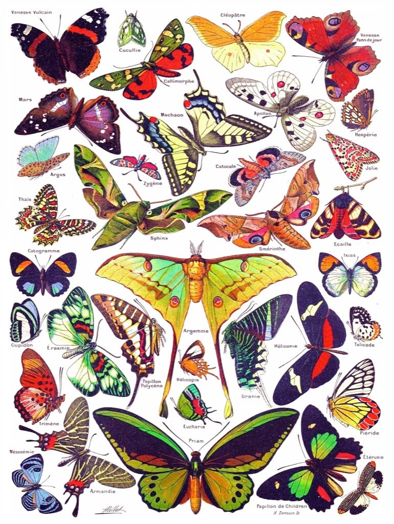 New York Puzzle Co. - Butterflies Papillions