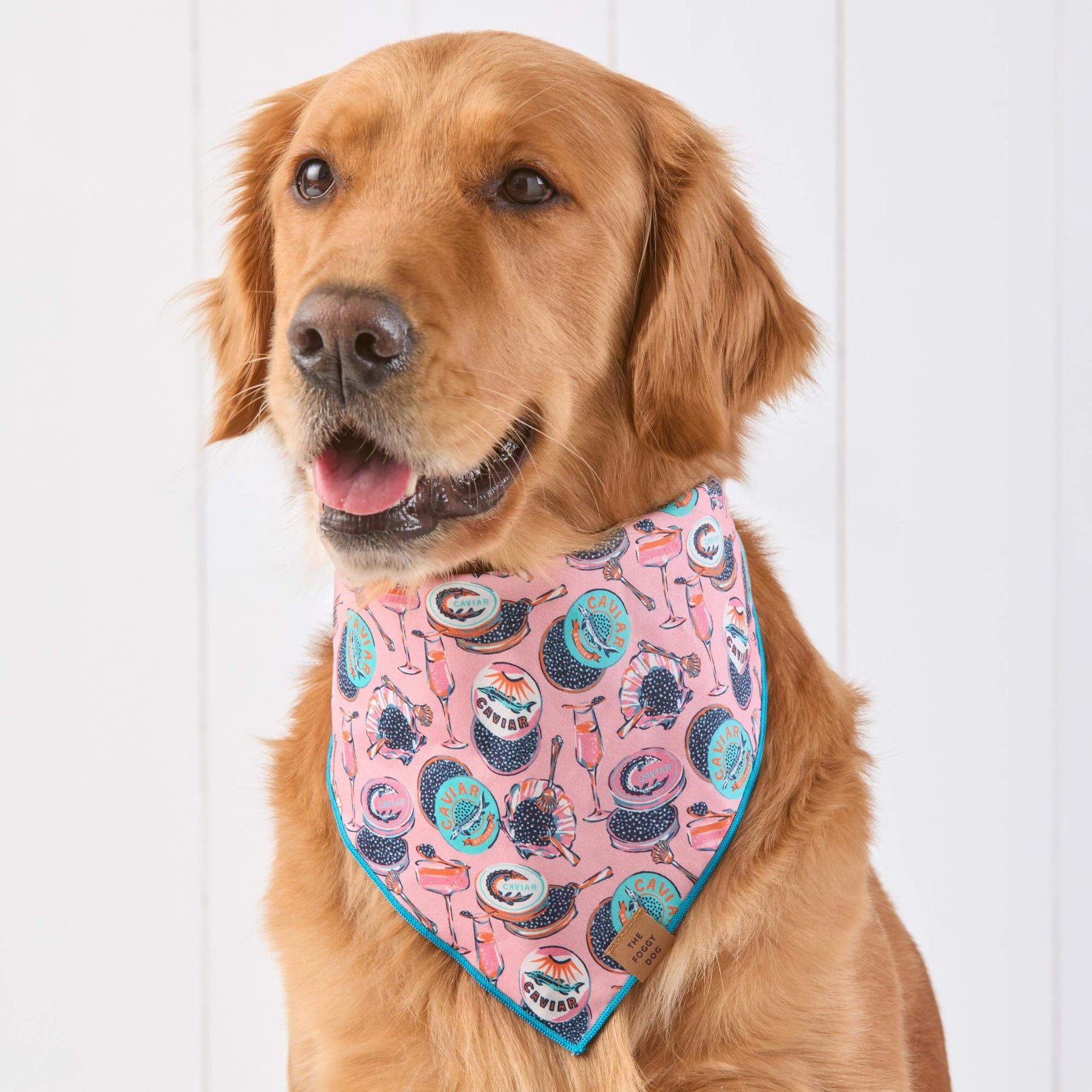 The Foggy Dog - Bandana Dog Printfresh X TFD Champange & Caviar