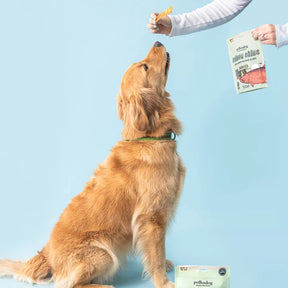 Polkadog - Salmon Skins Smoked Jerky Dog & Cat Treats