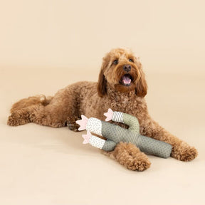 Petshop by Fringe Studio - I Can Be a Bit Prickly Dog Toy