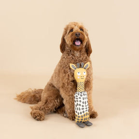 Petshop by Fringe Studio - High There! Dog Toy
