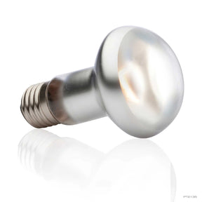 Bulb Intense Basking Spot