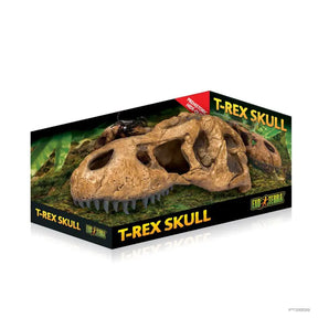 T-Rex Skull Terrarium Decor
