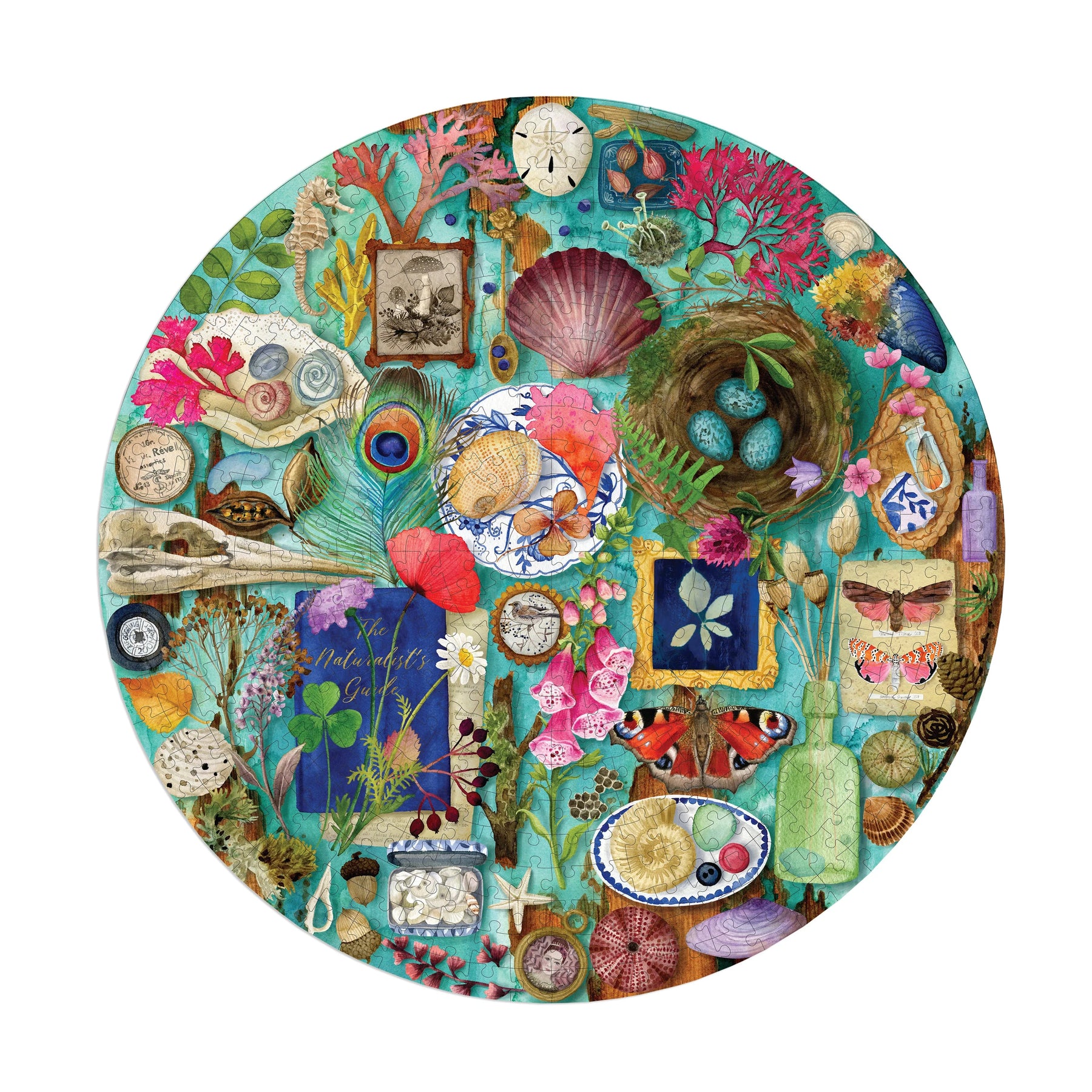 eeBoo - Collecting Nature 500 Piece Puzzle Round