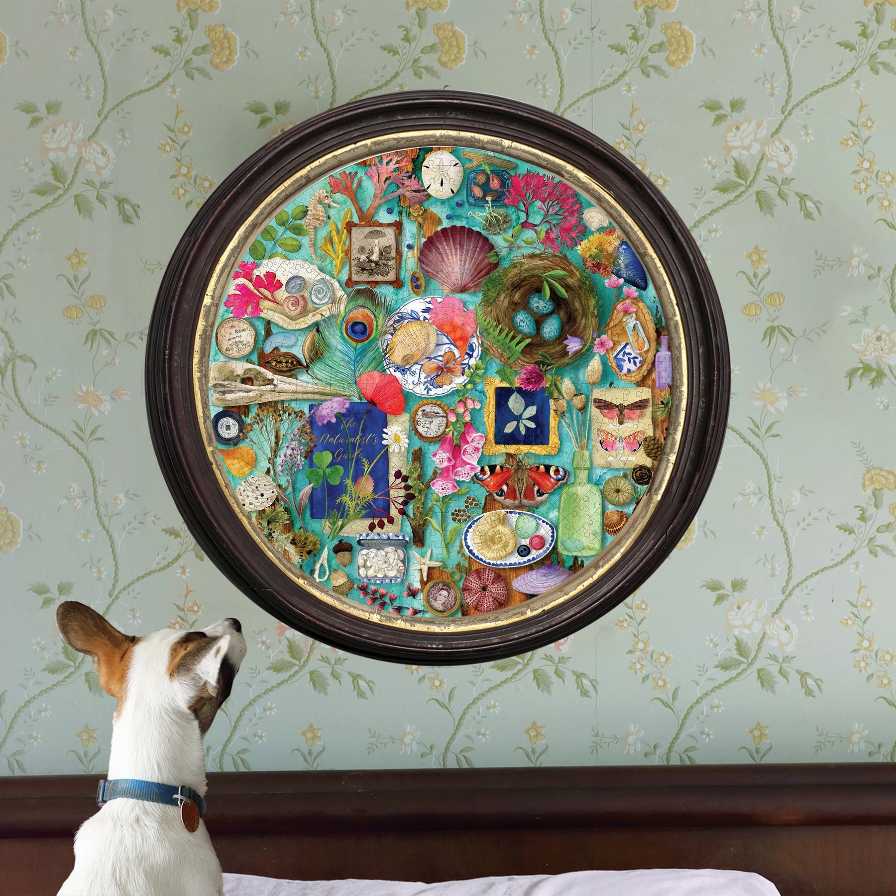 eeBoo - Collecting Nature 500 Piece Puzzle Round