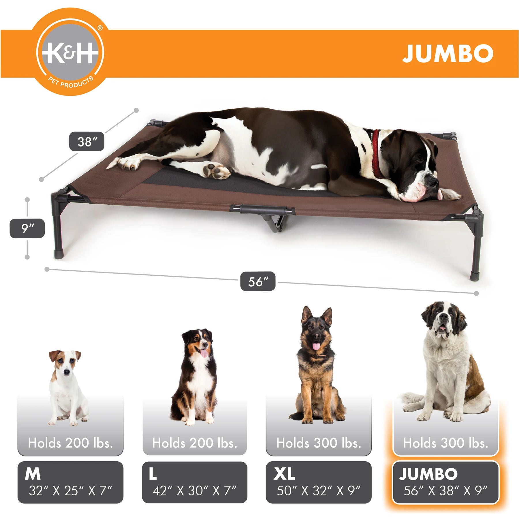 Central Pet Home Essentials - Elevated Pet Bed