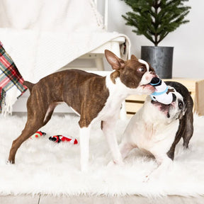 Petshop by Fringe Studio - Dog Toy We'll Be Home for Christmas