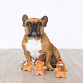 Petshop by Fringe Studio - Gingerbread Everything Dog Toy