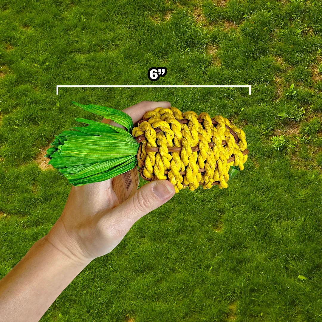 Exotic Nutrition - Pineapple Chew