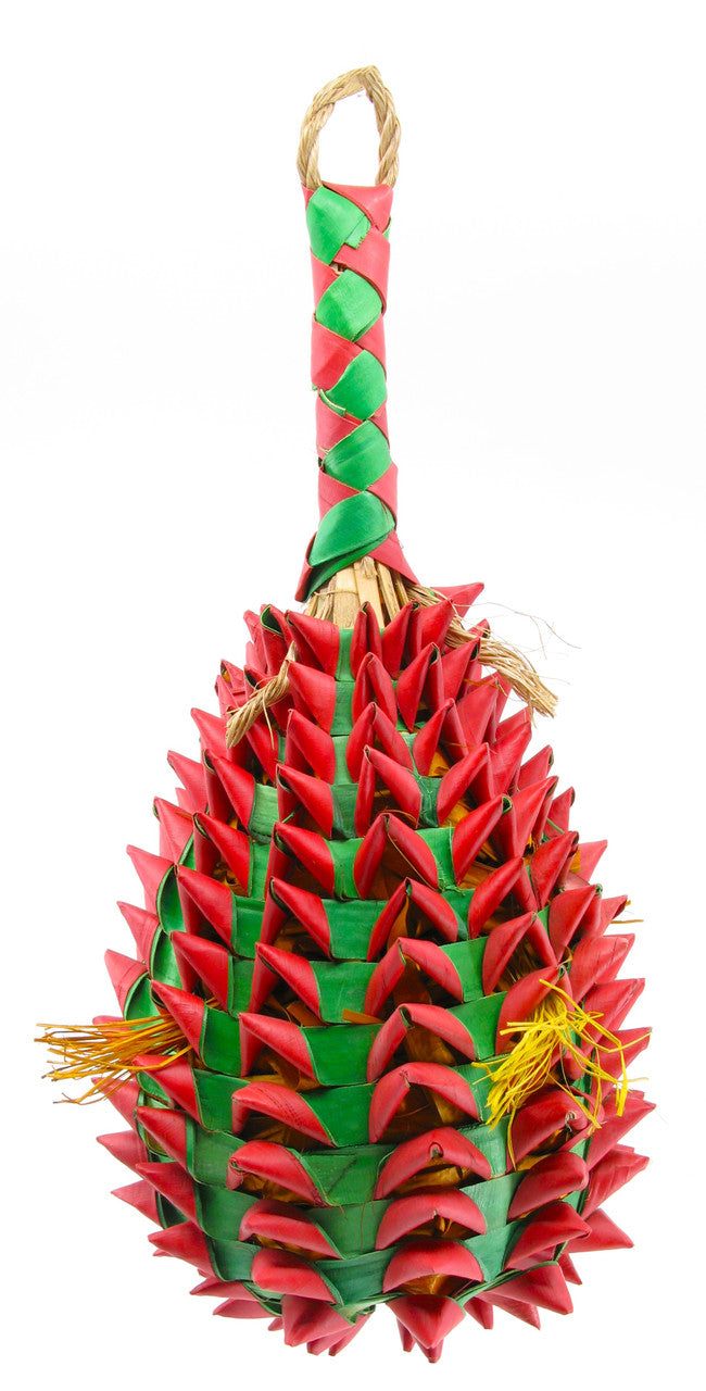 Planet Pleasures - Pineapple Foraging Toy