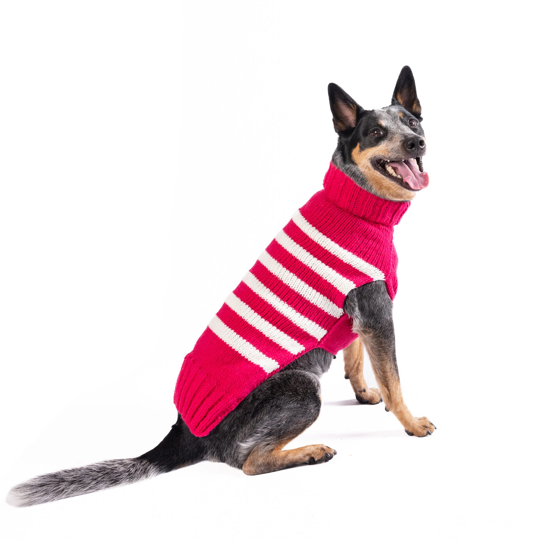 Dog Sweater Alpaca Katie Stripe