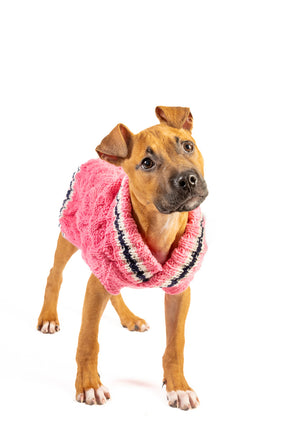 Chilly Dog - Dog Sweater Cable Knit Preppy