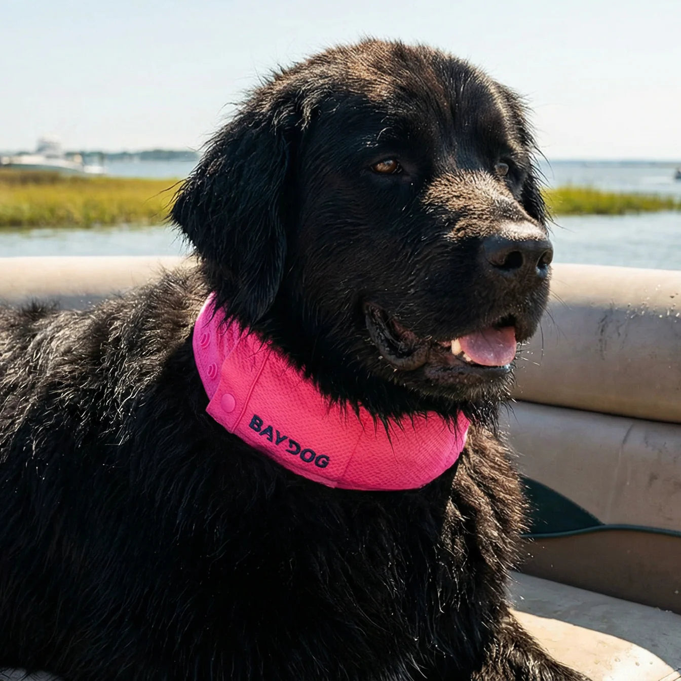 Baydog - Arctic Bay Cooling Collar