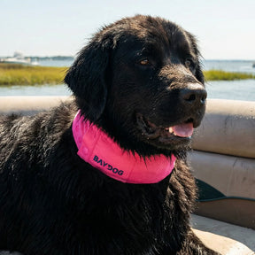 Baydog - Arctic Bay Cooling Collar