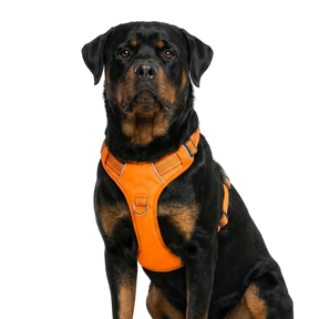 Baydog - Chesapeake Harness Blaze Orange