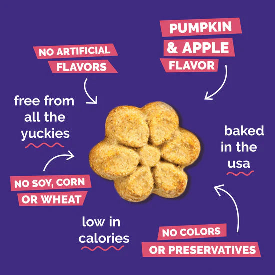 Fruitables - Pumpkin & Apple Crunchy Dog Treats