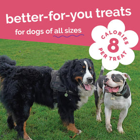 Fruitables - Pumpkin & Apple Crunchy Dog Treats
