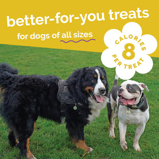 Fruitables - Pumpkin & Banana Crunchy Dog Treats