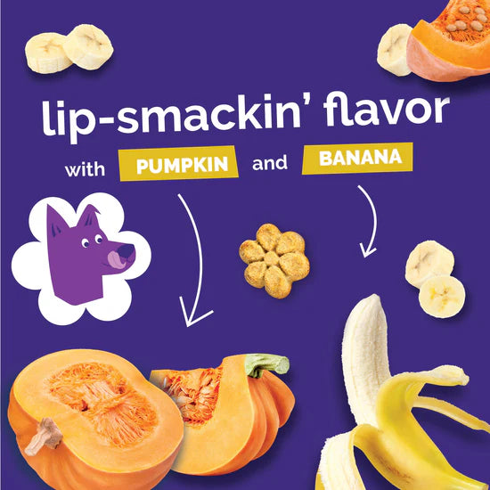 Fruitables - Pumpkin & Banana Crunchy Dog Treats