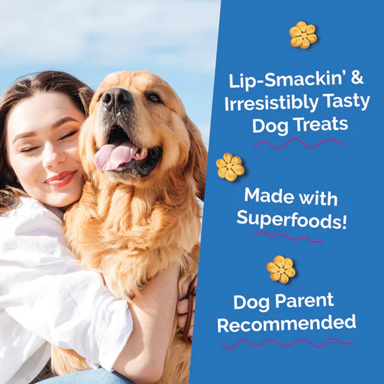Fruitables - Pumpkin & Blueberry Crunchy Dog Treats