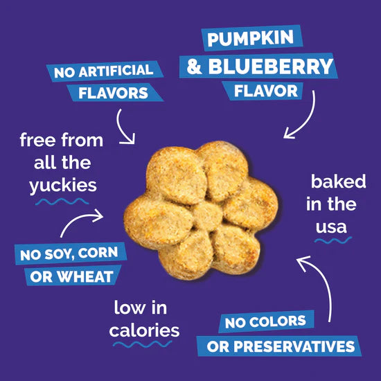 Fruitables - Pumpkin & Blueberry Crunchy Dog Treats