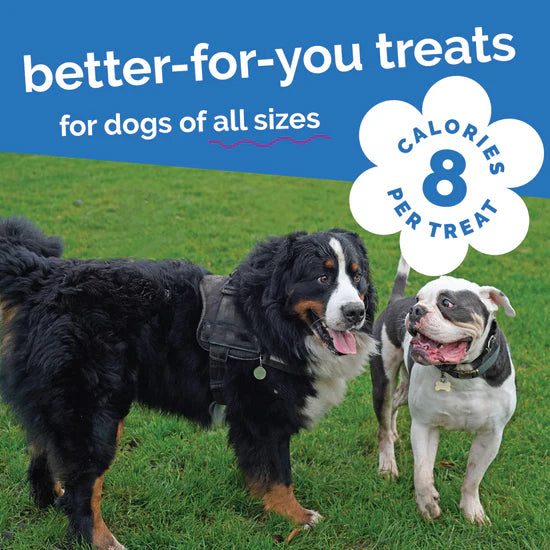Fruitables - Pumpkin & Blueberry Crunchy Dog Treats