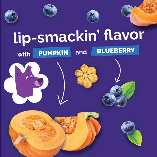 Fruitables - Pumpkin & Blueberry Crunchy Dog Treats