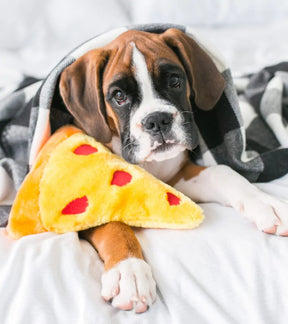 ZippyPaws - NomNomz Pizza Dog Toy