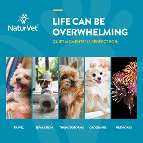 NaturVet - Scoopables Quiet Moments	Calming Aid + Melatonin Dogs