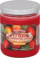 Pet Odor Exterminator - Sugar Plum Candle