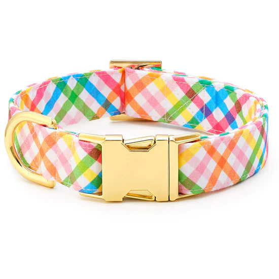 Foggy Dog - Dog Collar Rainbow Gingham