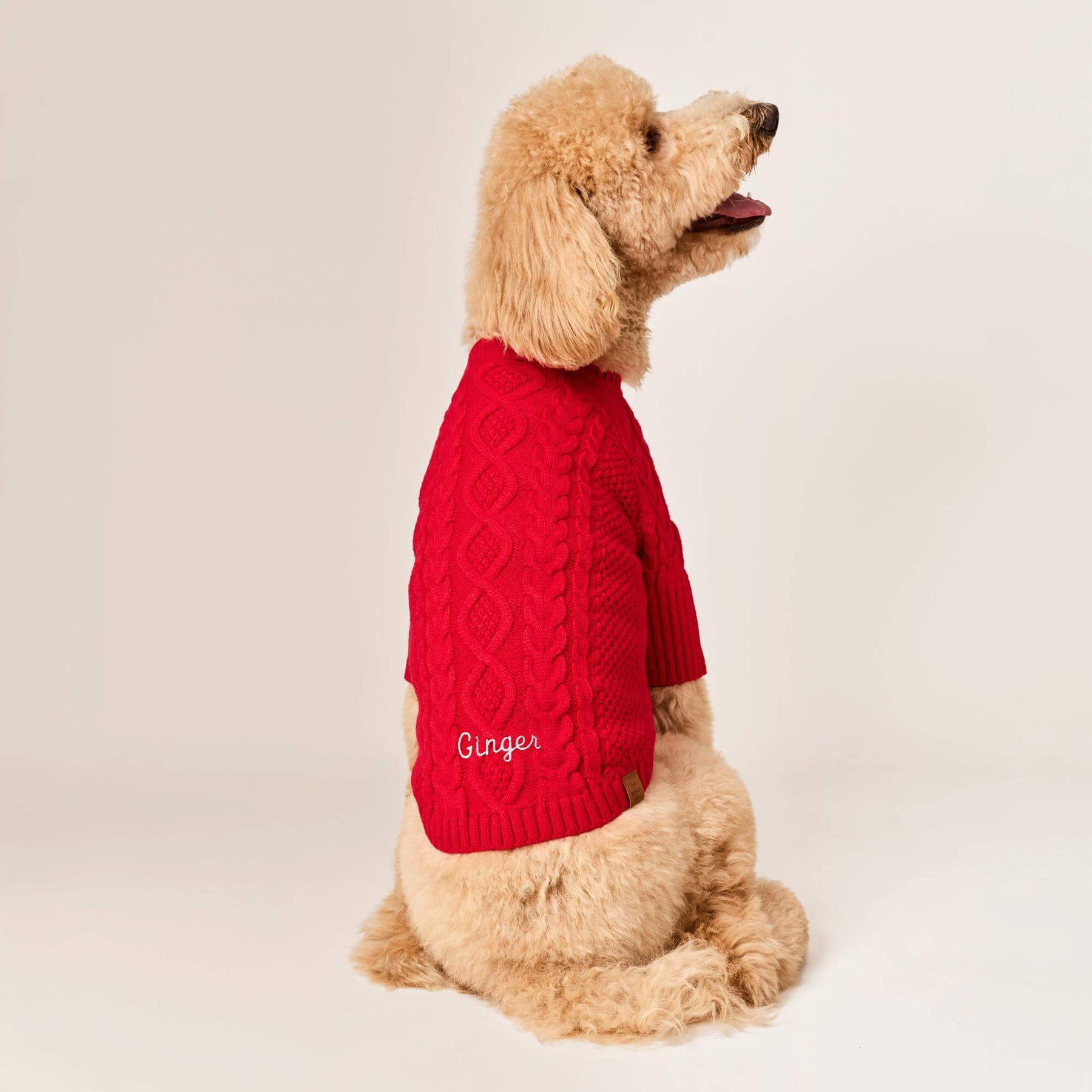 The Foggy Dog - Dog Sweater Red Cable Knit